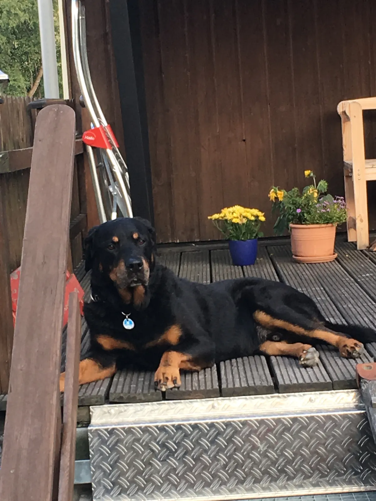 Apollo